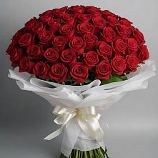 Букет 101 Красная роза Блэк Мэджик в Бродовом