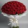 Букет 101 Красная роза Блэк Мэджик в Бродовом
