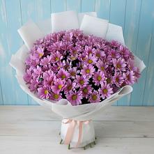 Букет цветов из:  Хризантемы #REPLACE_PRED# Бродовом
