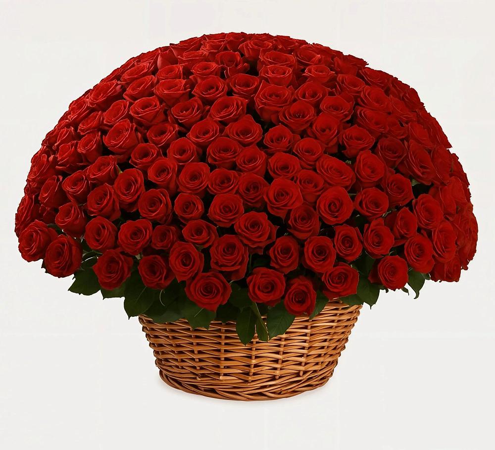 Премиум букет из: Розы в Бродовом