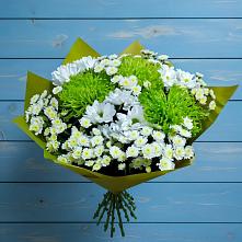 Букет цветов из:  Хризантемы #REPLACE_PRED# Бродовом