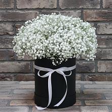 Цветочная композиция из Гипсофила в шляпной коробке в Бродовом