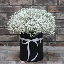 Цветочная композиция из Гипсофила в шляпной коробке в Бродовом