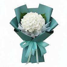 Букет цветов из:  Гортензия в Бродовом